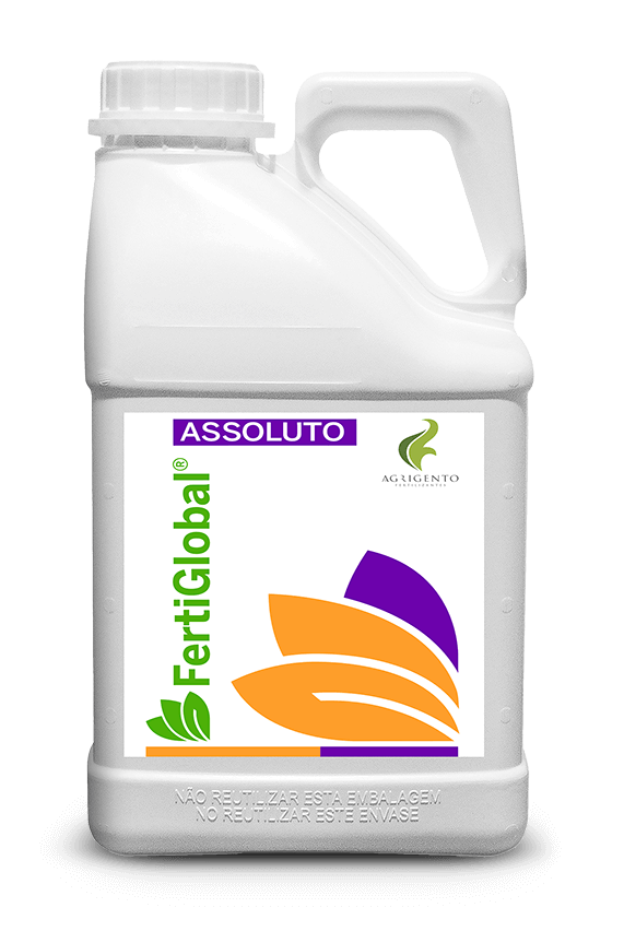 Assoluto