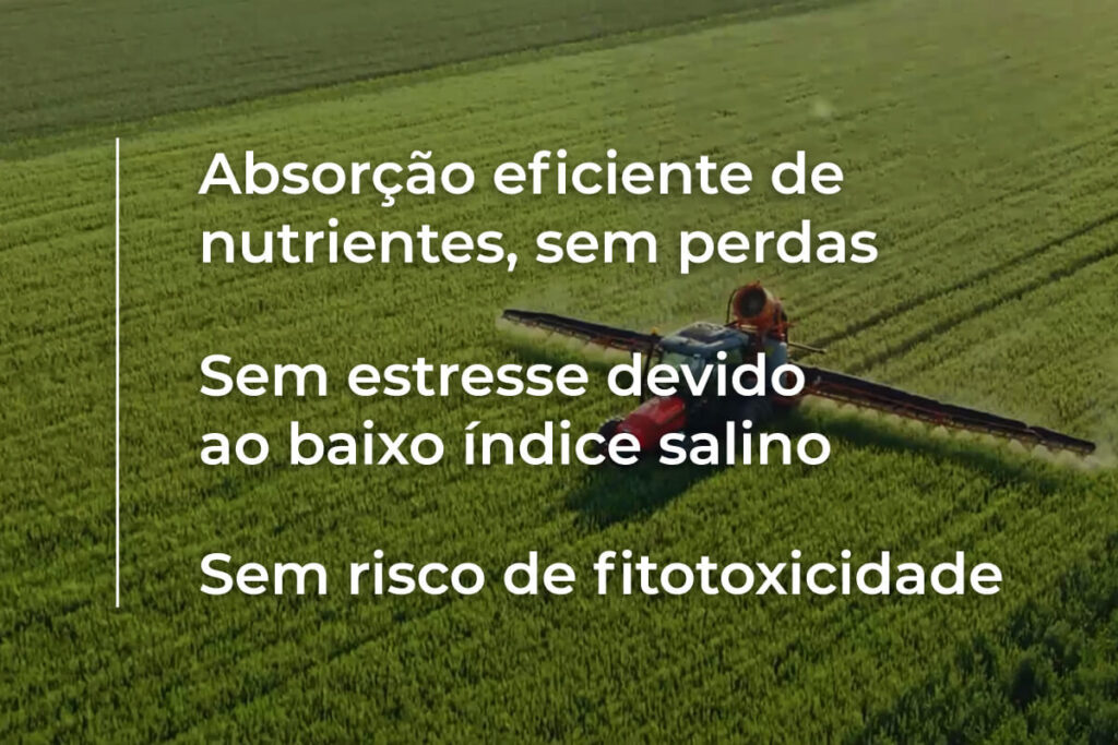 Img Foliflo